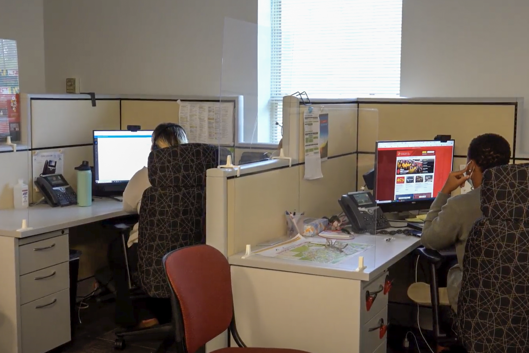 two staff members working in their cubicles in the office