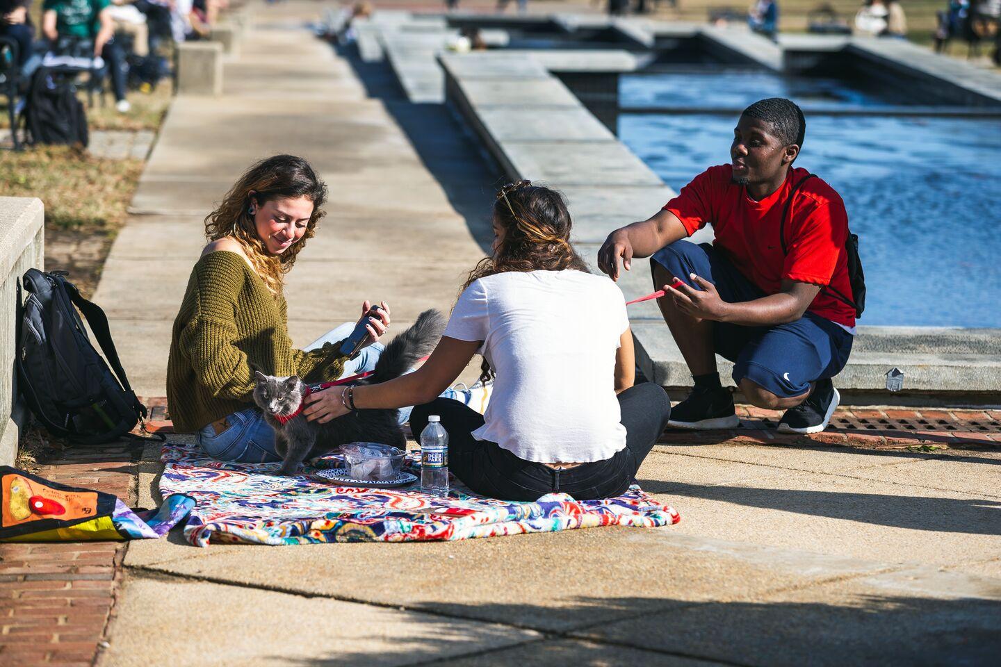 Students outdoors on the Mall on an unseasonably warm February day.