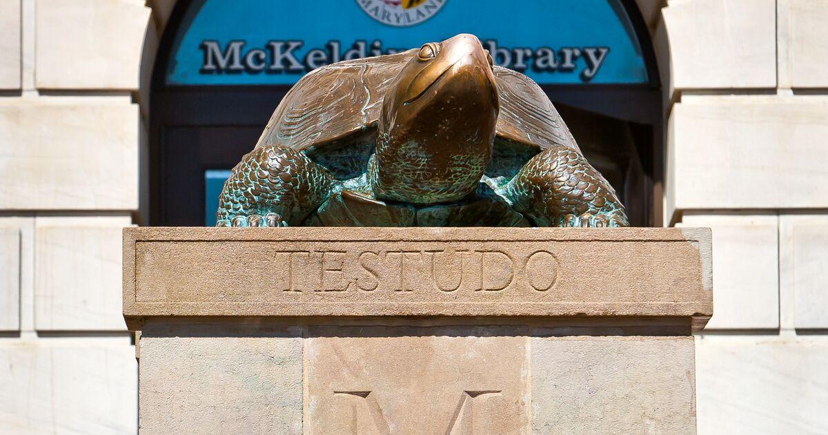 Portrait of Testudo